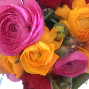 Summer-Sunshine-product-image-workshop-pomp-and-petals